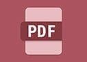 Ic&ocirc;ne PDF de Workflow Central